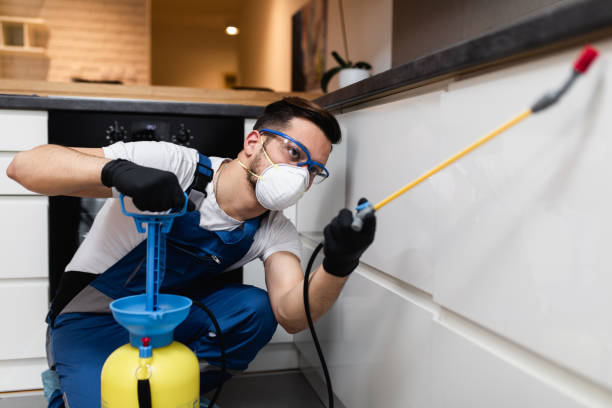 Best Affordable Pest Control Services  in Roebuck, SC