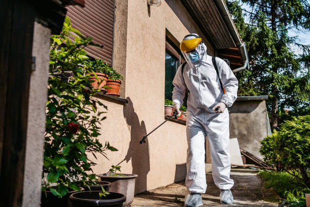 Best Residential Pest Control  in Roebuck, SC
