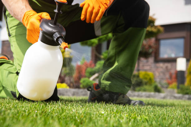 Best Pest Prevention Services  in Roebuck, SC