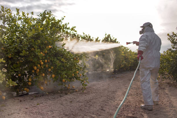 Best Affordable Pest Control Services  in Roebuck, SC