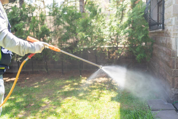 Best Best Pest Control Companies  in Roebuck, SC