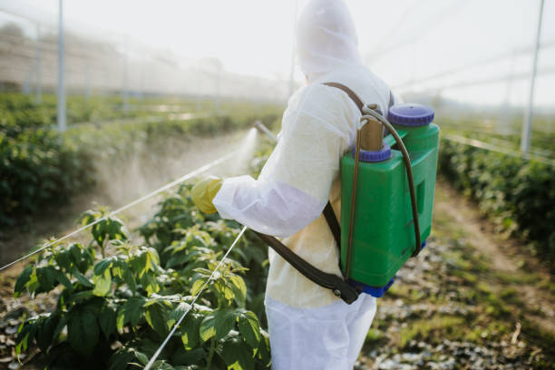 Best Pest Control Near Me  in Roebuck, SC